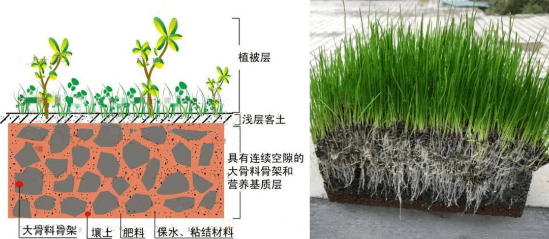 植生混凝土 應(yīng)用前景廣闊的環(huán)境友好型護(hù)坡材料